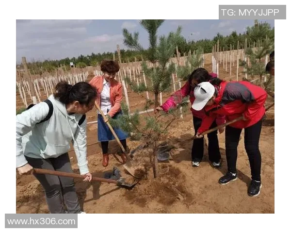焦泊乔：在时代浪潮中坚定前行的青年力量与梦想追寻